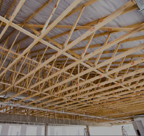 Peter-Place-new-icon